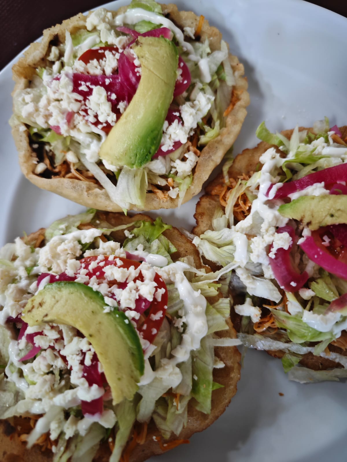 Salbutes de pollo